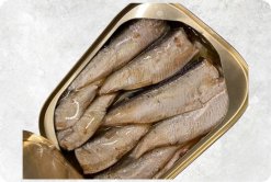 Canned Sardine And Canned Mackerel With Tomato Sauce produced in Vietnam