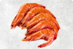 Frozen Cooked HOSO Vannamei Shrimp Displayed for Export Viewing from Vietnam