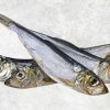 Dried Boiled Herring Sardine premium display for customers in Vietnam