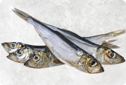 Dried Boiled Herring Sardine premium display for customers in Vietnam