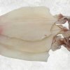 Dried Loligo Squid premium display for export from Vietnam