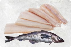 Frozen Alaska Pollock produced in Vietnam for premium seafood display