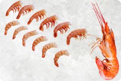 Vietnam Frozen Argentina Red Shrimp Displayed for Export