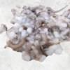 Frozen Small Cut Baby Octopus from Vietnam – Displayed for Export
