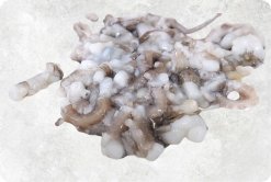 Frozen Small Cut Baby Octopus from Vietnam – Displayed for Export