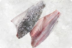 Vietnam Frozen Barramundi Fillet (Sea Bass) premium display