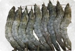 Frozen Raw Hoso Body Peel Vannamei Shrimp - Bikini Style from Vietnam