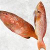 Vietnam Frozen Black And Red Grouper Whole Clean displayed for export market