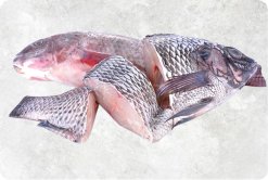 Vietnam Frozen Black And Red Tilapia Steak Displayed for Export