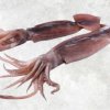 Frozen Black Squid Whole Round beautifully displayed for export from Vietnam