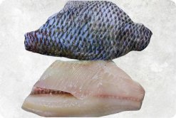 Vietnam Frozen Black Tilapia Fillet Skin On neatly displayed for buyers