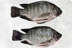 Vietnam Frozen Black Tilapia Whole Round And Whole Cleaned Display