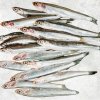 Frozen Black And White Anchovy Whole Round displayed for export from Vietnam