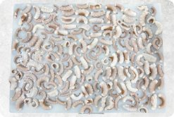 Frozen Blanched and Boiled Poulp Squid Dice Cut (Frozen Boiled Mada Cut)