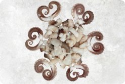 Vietnam Frozen Boiled Baby Octopus Cut Display Ready