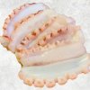 Frozen Boiled Octopus Tentacles Open Cut Sushi Display from Vietnam