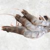 Frozen Raw Hoso Butterfly Black Tiger Shrimp Displayed for Export from Vietnam