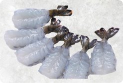 Vietnam Frozen Raw PDTO Butterfly Black Tiger Shrimp Displayed for Export