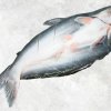 Frozen Butterfly Pangasius (Swai Fish) Display from Vietnam