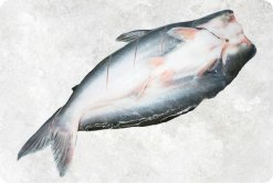 Frozen Butterfly Pangasius (Swai Fish) Display from Vietnam
