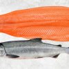 Frozen Chum Salmon premium display for export produced in Vietnam