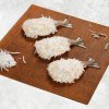 Frozen Coconut Butterfly And PDTO Shrimp Displayed for Export from Vietnam