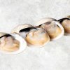 Frozen Cooked Half Shell White Clam produced in Vietnam for export