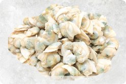 Frozen Cooked White Clam Meat produced in Vietnam for export display