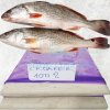 Vietnam Frozen Croaker Surimi (Frozen Guchi Surimi) Displayed for Export Showcase
