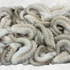 Frozen Cut Baby Octopus Displayed for Export in Vietnam