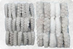 Vietnam Frozen Cut Poulp Squid Block (Frozen Mada Cut Block) Display for Export