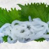 Vietnam Frozen Cuttlefish Somen Displayed for Export Buyers