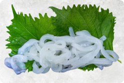 Vietnam Frozen Cuttlefish Somen Displayed for Export Buyers