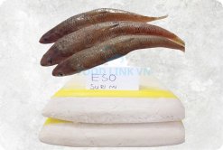 Frozen Eso Surimi (Frozen Lizard Fish Surimi) display product produced in Vietnam