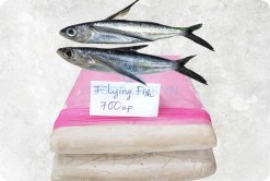 Vietnam Frozen Flying Fish Surimi (Frozen Tobiuo Surimi) on display for B2B buyers