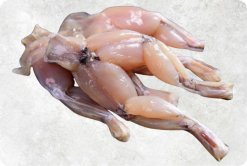 Frozen Frog Legs Classic Style beautifully displayed, produced in Vietnam