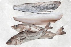 Frozen Haddock premium display produced in Vietnam