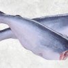 Frozen HGT Pangasius (Swai Fish) Displayed for Export Buyers from Vietnam