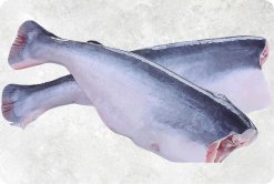 Frozen HGT Pangasius (Swai Fish) Displayed for Export Buyers from Vietnam