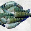 Frozen Raw HLSO, HLSO EZP and Butterfly Scampi Shrimp Display from Vietnam