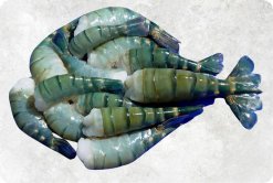 Frozen Raw HLSO, HLSO EZP and Butterfly Scampi Shrimp Display from Vietnam