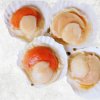 Frozen Hokkaido Scallop Half Shell produced in Vietnam premium display