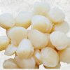 Frozen Hokkaido Scallop Meat produced in Vietnam