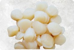 Frozen Hokkaido Scallop Meat produced in Vietnam
