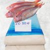 Frozen Itoyori Surimi beautifully displayed for buyers from Vietnam
