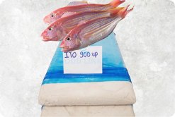 Frozen Itoyori Surimi beautifully displayed for buyers from Vietnam