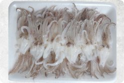 Vietnam Frozen Loligo Squid Tentacles Sushi Display