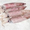 Vietnam Frozen Whole Clean Loligo Squid Display for Export Market