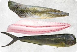 Vietnam Frozen Mahi Mahi Fillet Skin On And Skinless on display for seafood buyers