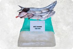 Frozen Mix Surimi display for customers, produced in Vietnam